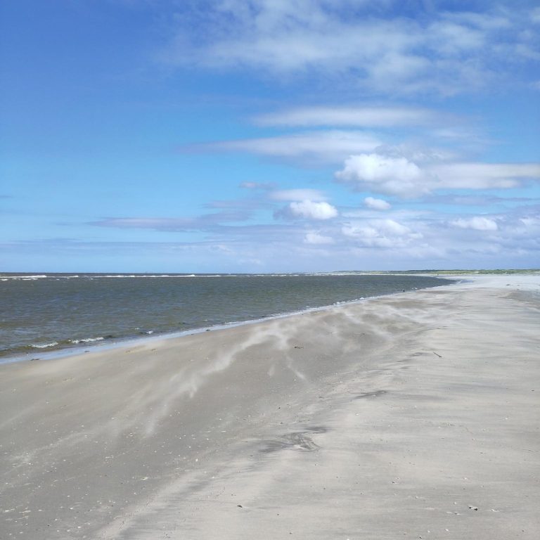 Foto: privat Strand und Meer von Ameland