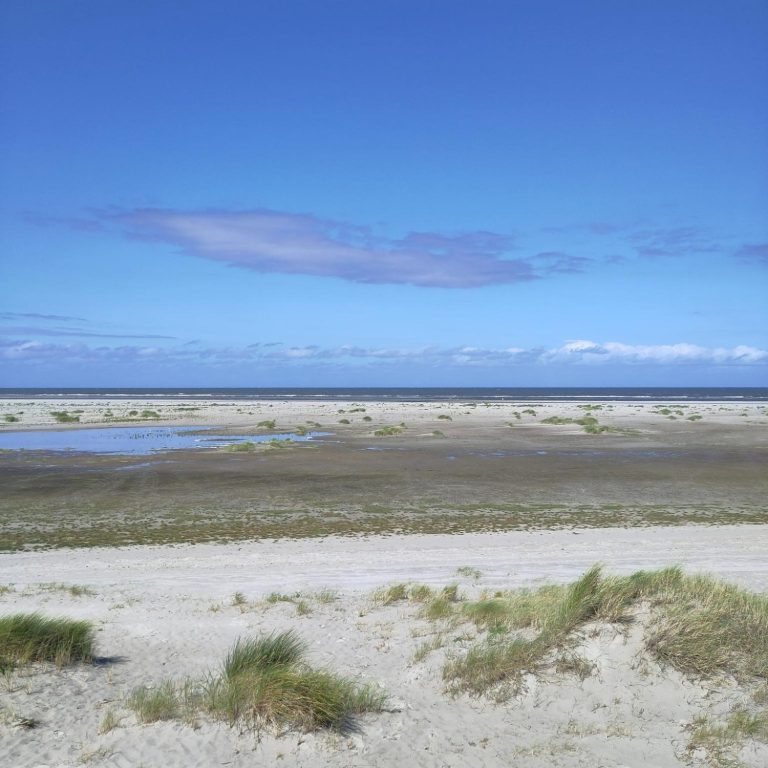 Foto: privat Strand und Meer von Ameland