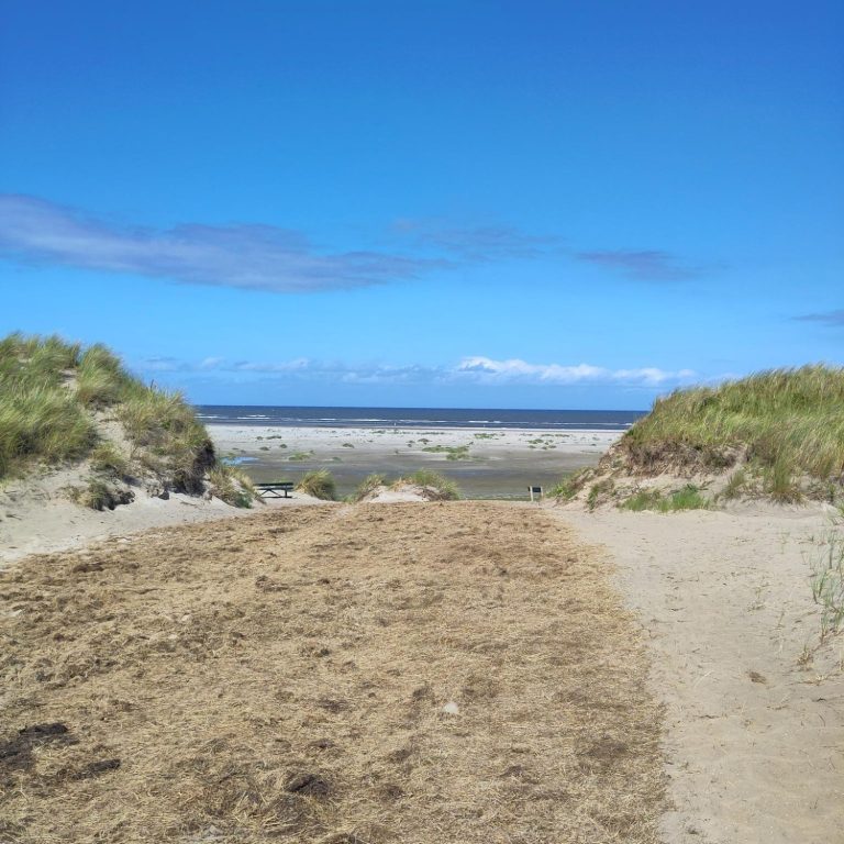 Foto: privat Dünen, Strand und Meer von Ameland